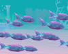 Mermaid School of Fish