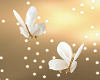 Animated Butterflies L