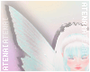 ❄ Holo Wings
