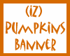 (IZ) Pumpkins Banner