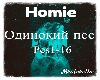 Homie Odinokiy pes