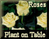 [my]Roses Plant on Table