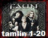 tamlin  1-20