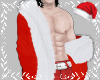 ❆Santa Coat ❆