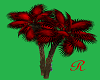 "RD"  Palm Tree