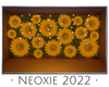 NX - Sunflowers Blooming