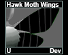 Hawk Moth Wings Dev