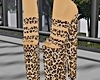 cheetah print shoes