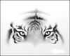 Tigers eyes