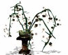 MR Escape Plant