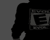 Evol Custom