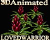 5 Animated Bromeliads 16