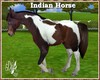 |DRB| Indian Horse Anime