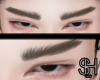 SH - Asian Male Brows V1