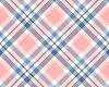 plaid pink set