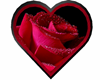 rose/heart