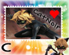 (C) Love CatNoir
