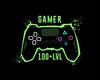 Gamer R