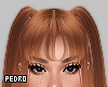 Req. Erla IV