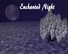 Enchanted Night Bundle