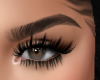 eyebrows Dakest Brown