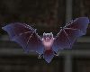 vampire bat dance marker