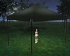 Y*Canopy Tent
