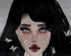 F| Stella Blck