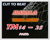 ANGEL Tribal Music P2