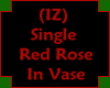 (IZ) Single Rose In Vase