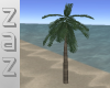 (ZaZ) Palm Tree