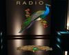 Peafowl Streaming Radio