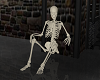 Sitting Skeleton