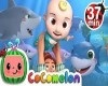 COCO MELON TV 2