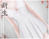 ☽ Lace Dress White.