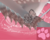 ~AM~ MystShika Arm Fur
