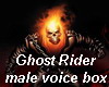 Ghst Rider voice box