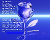 Blue_Rose_Friends_Poem