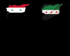 Syria necles
