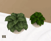Japandi Plant Balls
