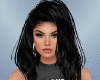 Bundle RLL