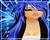 *J black/blue Caprice