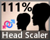Head Scaler 111% F A