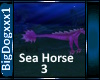[BD] Sea Horse 3