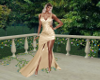 Coctail Champagne Gown