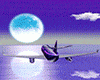 Luxury Private Jet Club