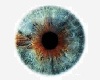 Blue-Brown Mythic Eyes