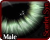 (Ss) Verdure Eyes -M