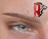 🦁 1blond eyebrows