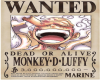 Luffy Wanted Poster
